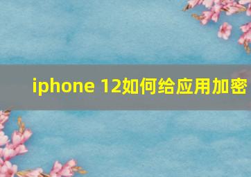 iphone 12如何给应用加密